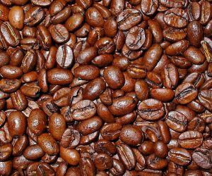 1200px-Coffea_arabica_005